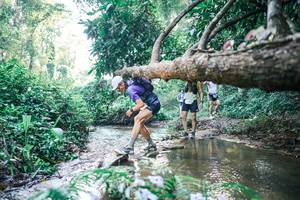 BIB: 
                            <button type="button" onclick="openModal(25434031)" class="btn btn-primary btn-sm float-right btn-popup" data-toggle="modal" data-target=".modal-high-quality">
                        <i class="fas fa-shopping-cart"></i> Add to Cart
                    </button>
                                            <button type="button" onclick="isThisMe(25434031, true)" class="btn btn-success btn-sm float-right btn-popup btn-isme hidden" data-toggle="tooltip" data-placement="bottom" title="นี่คือรูปของคุณใช่ไหม คลิกที่นี่เพื่อเอาเข้าอัลบั้ม">
                        <i class="fas fa-plus"></i> Add to album
                    </button>
                    <button type="button" onclick="isThisMe(25434031, false)" class="btn btn-warning btn-sm float-right btn-popup btn-isnotme hidden">
                        <i class="fas fa-ban"></i> Remove from album
                    </button>